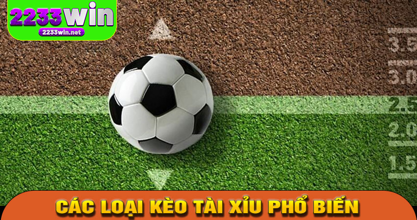 Các loại kèo Tài Xỉu phổ biến