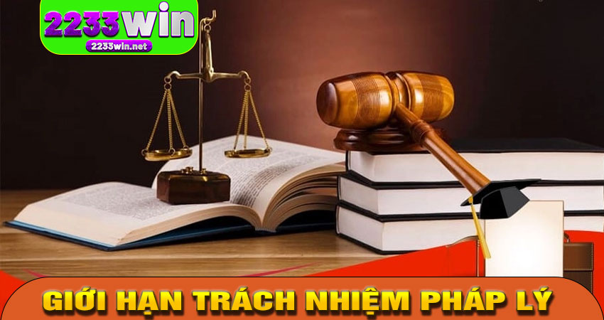 GIỚI HẠN TRÁCH NHIỆM PHÁP LÝ