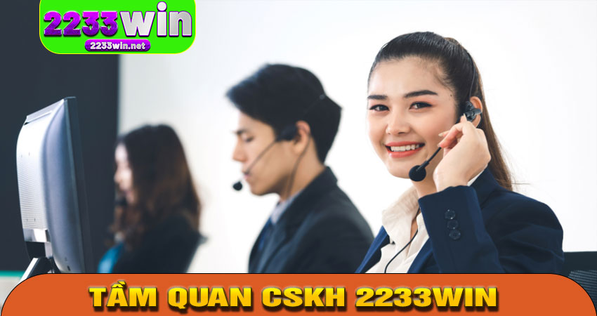 Tầm Quan Trọng Của Dịch Vụ CSKH