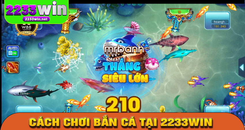 Hướng dẫn cách chơi Bắn Cá tại 2233win