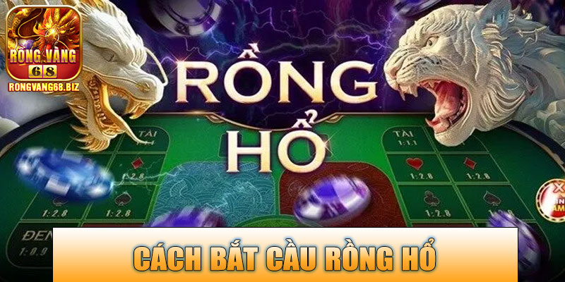 Cách Bắt Cầu Rồng Hổ Rongvang68 – Chiến Lược Hiệu Quả Cho Người Mới