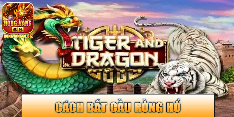 Cách bắt cầu Rồng Hổ trên Rongvang68